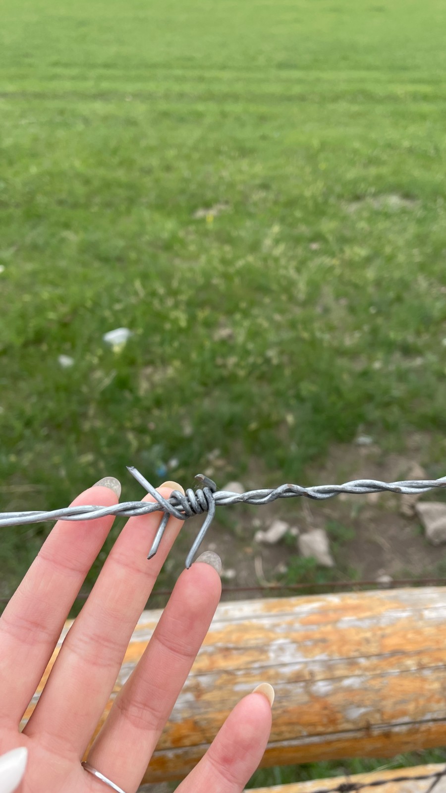 刺繩.jpg 刺繩.jpg